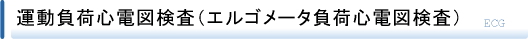 運動負荷心電図検査（エルゴメータ負荷心電図検査）